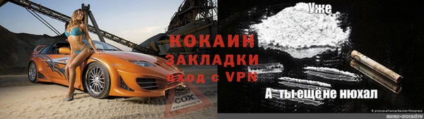 тгк Новозыбков