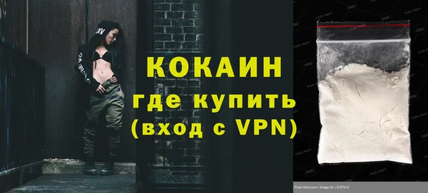 тгк Новозыбков