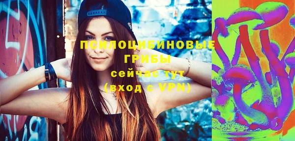 тгк Новозыбков