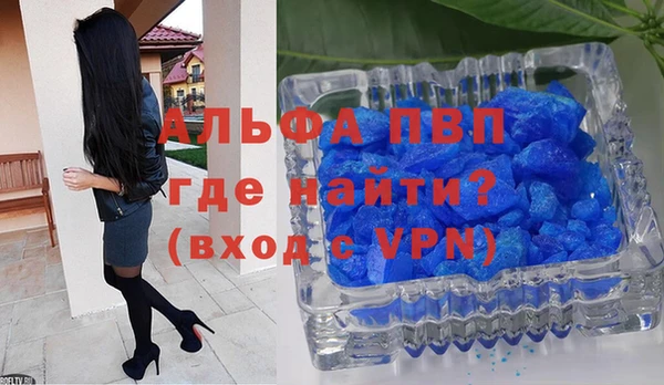 тгк Новозыбков